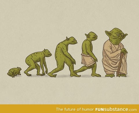 The evolution of yoda