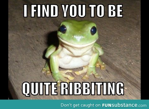 Oh frog, what a charmer you are