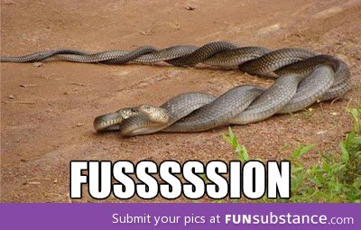 Fusssssion