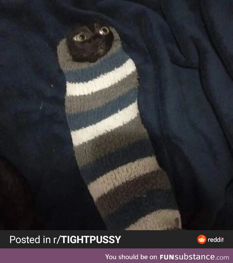 You have been visited by sock Kitten. Make your wish in the comments