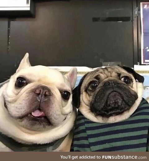 Every old couple on Skype for the first time