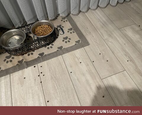 Anyone’s dog do this? He purposely filters out the black kibble parts and spits them on