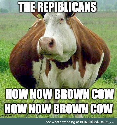 How now brown cow
