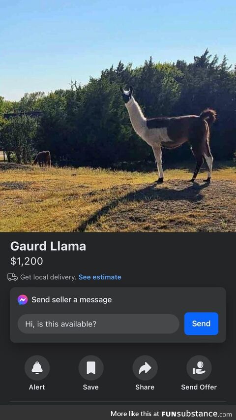 All of a sudden I’m in the market for a Guard Llama