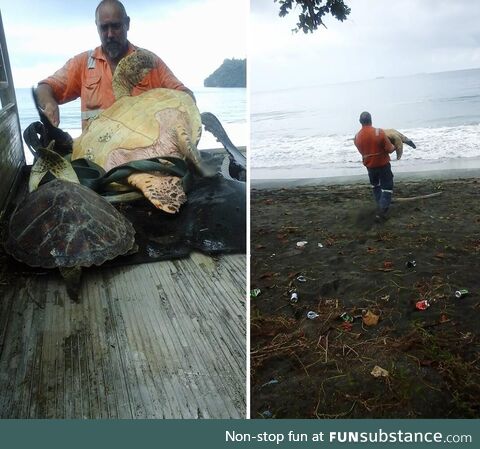 Man buys turtles from food market and releases them back to the sea