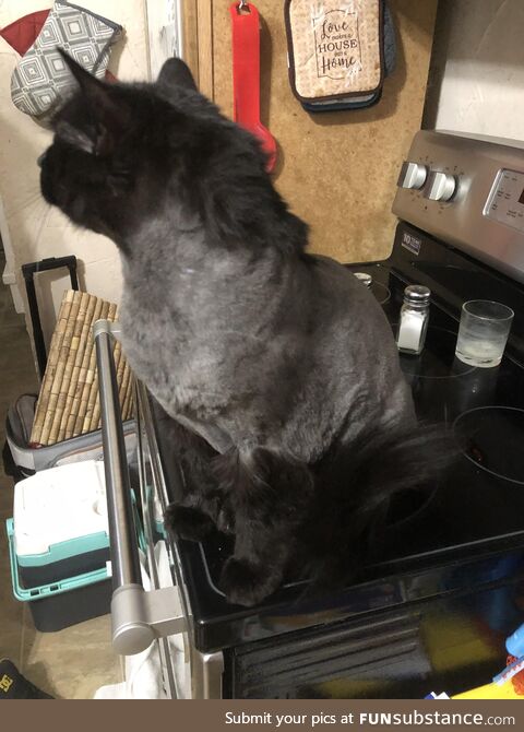 He now can feel the wind in his mullet