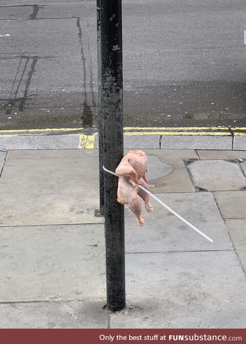 A chicken zip tied to a pole in London