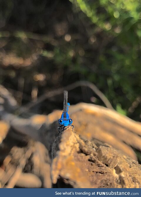 Cute lil’ fella