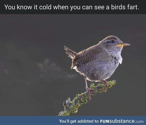 It's freaking cold here in the northeast