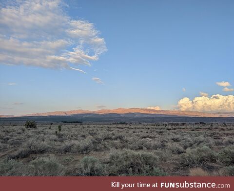 Stuck in a flash flood in the desert, the view is beautiful