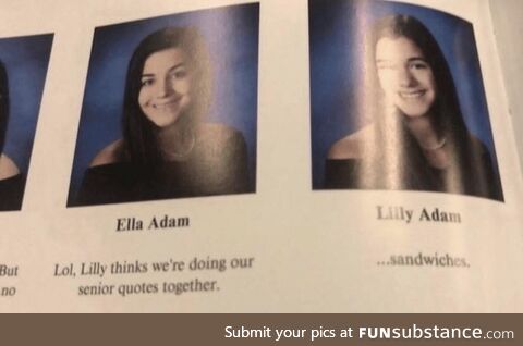 Sandwich