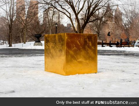 A pure gold cube worth $11.7M is sitting in Central Park