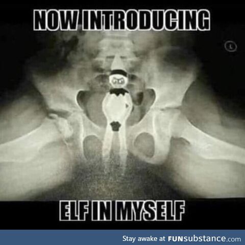 It’s the Most Wonderful Time of the Rear