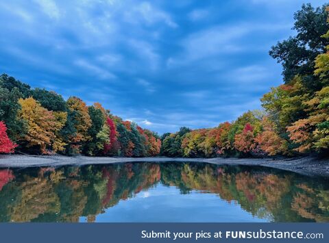 Fall foliage colors are popping here in the Midwest