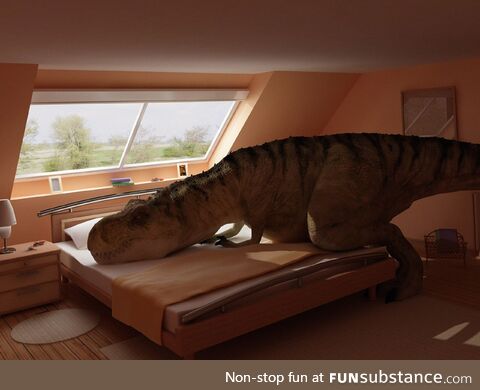 T-Rex on a bed. Yup