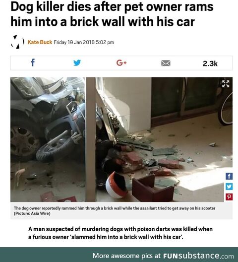 Quarrelsome rough Leopard