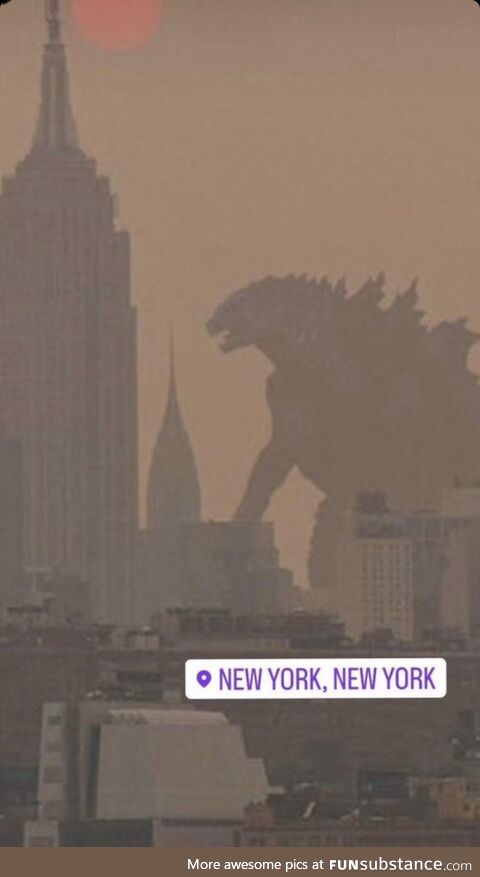 Newyork lookin wild today