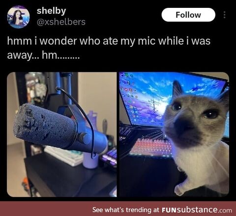 Who could it be