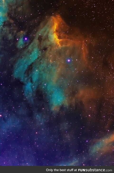 The Pelican Nebula