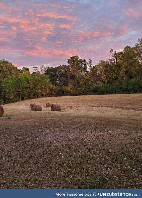 Pasture in Louisiana