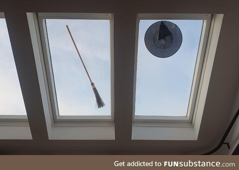 Mother-in-law popped round to wash the windows today