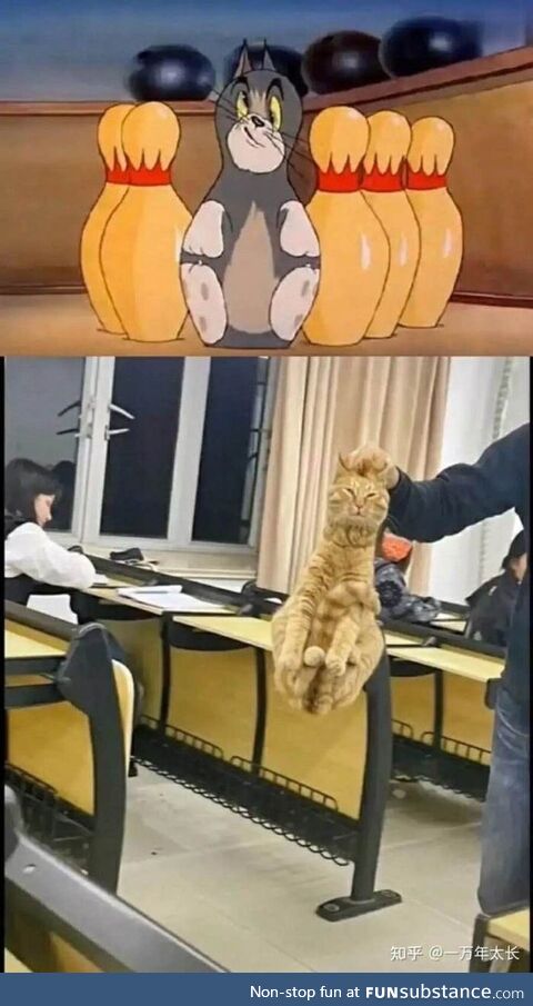 Primer holiness aboard