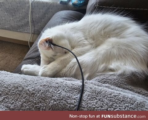 Don't forget to charge your cat every once in a while
