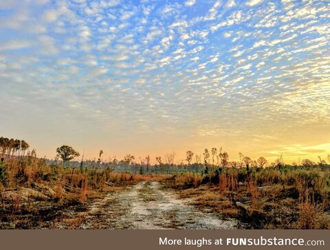 An ancient sea floor out in the middle of the carolinas
