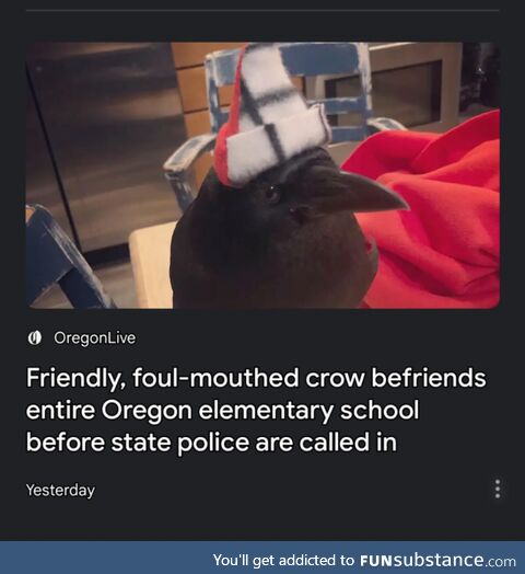"Sometimes it does use profanity"