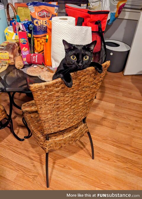 Caspy looking suspicious