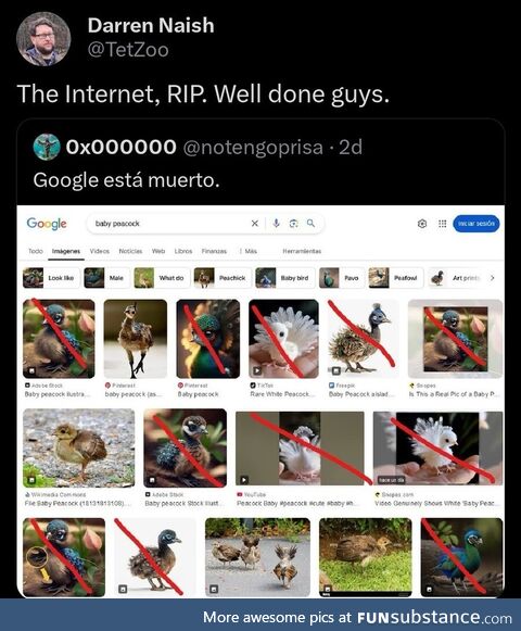 Google's AI-Enhanced Enpooptification