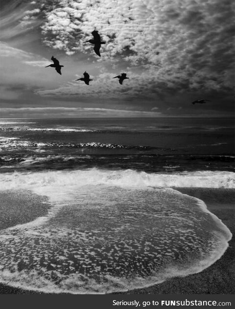 This is a picture of pelicans flying over the waves, a visual poem