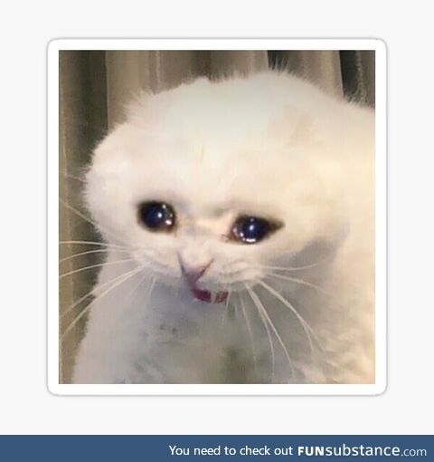 Theives and scammers