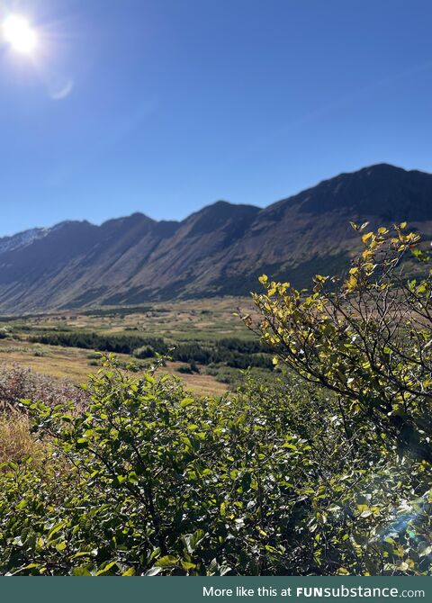 Hiking in Anchorage, Alaska (2)