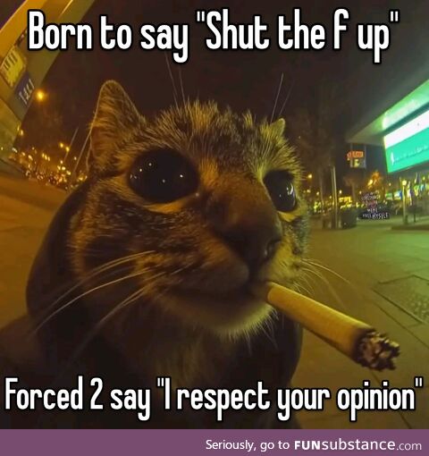 Yup