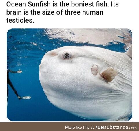 Best unit of measurement