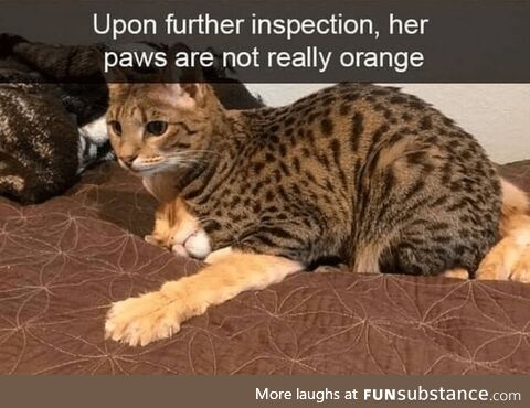 Swift accessible double-blind