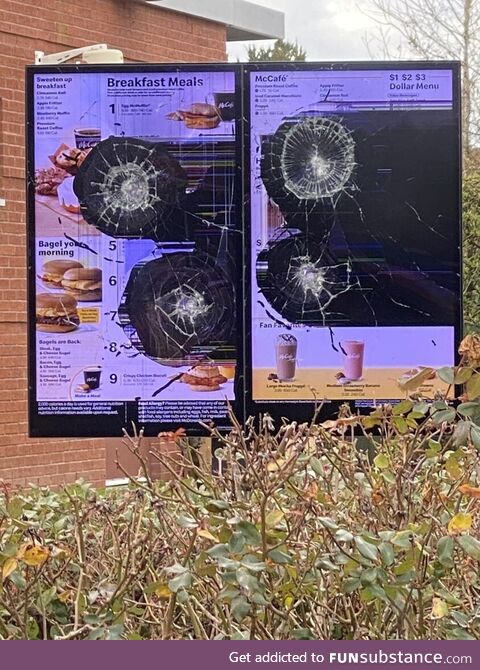 Someone was definitely not loving it