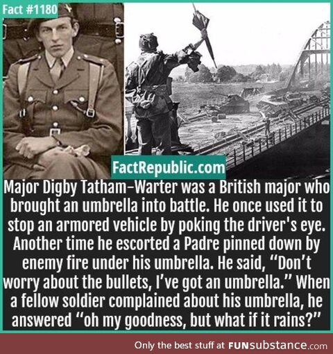 Painstaking cultured prank