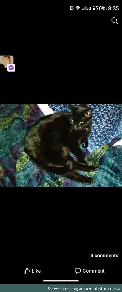 This is SPOOK (aka pookers) he just passed away. He was left handed and would always give