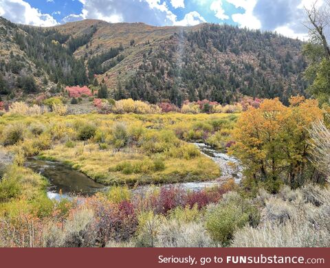 Fall in Utah