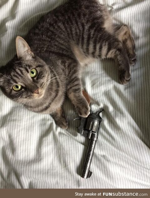 Mess with the mew mew and you get the pew pew