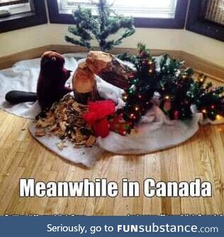 Christmas for cute critters