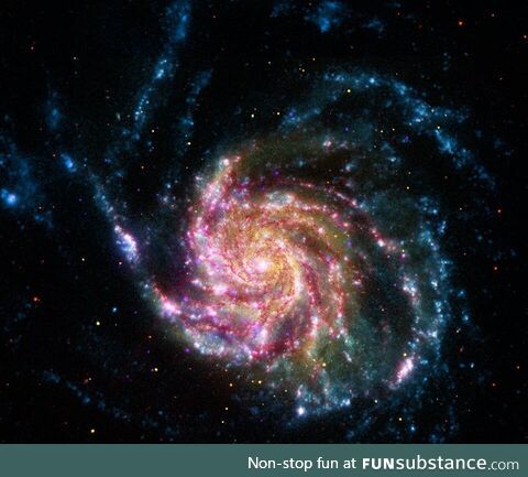 21st Century M101