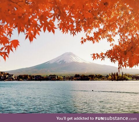 Mt. Fuji and Momiji