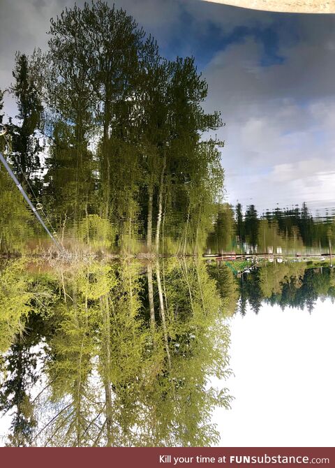 Caught a decent upside down pic while fishing