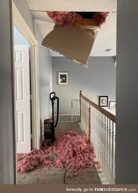 Went into the attic to look for a squirrel and fell through the ceiling