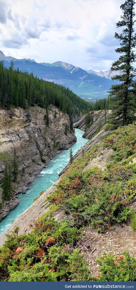 [OC] Hiking up Siffleur Falls in Alberta, Canada this past weekend