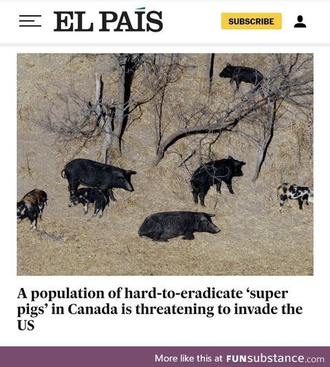 They are coming for the burgers