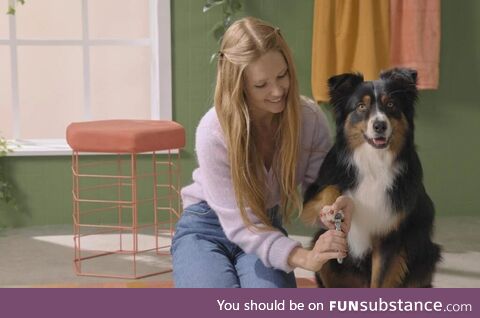 While the idea of trimming your dog's nails may seem scary, going to the groomer for nail